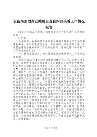 安监局治理商业贿赂自查自纠回头看工作情况报告 