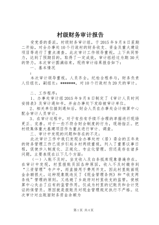 村级财务审计报告 
