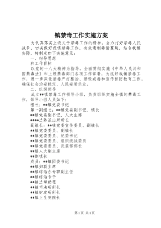 镇禁毒工作实施方案