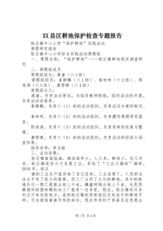 XX县区耕地保护检查专题报告 