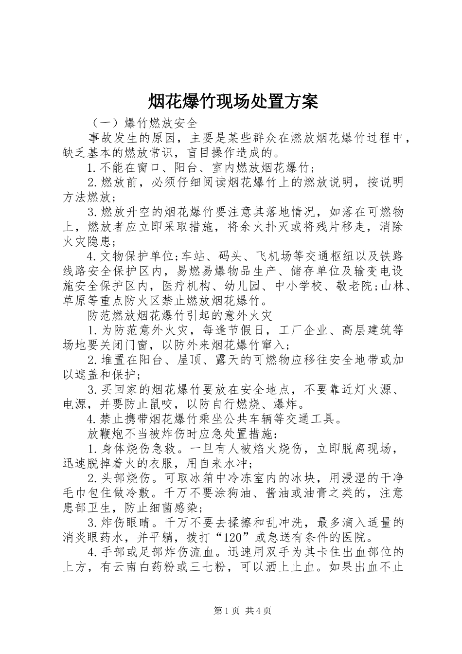 烟花爆竹现场处置方案_第1页