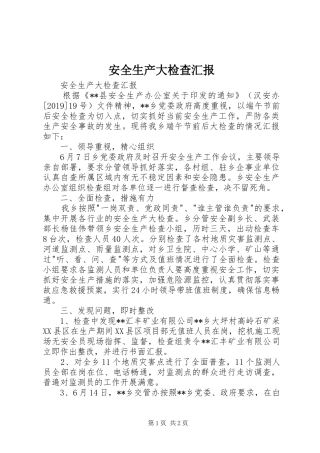 安全生产大检查汇报 