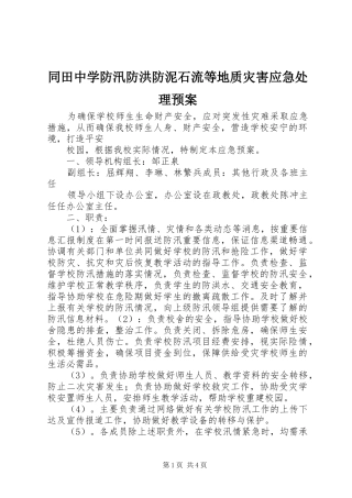 同田中学防汛防洪防泥石流等地质灾害应急处理预案