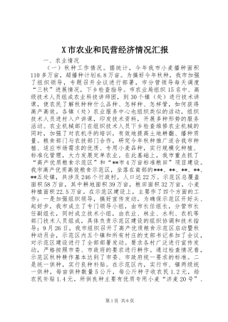 X市农业和民营经济情况汇报 