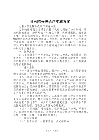 县医院分级诊疗方案 
