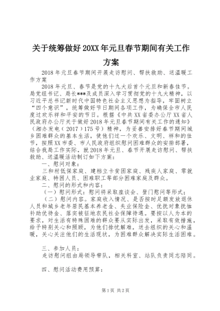 关于统筹做好20XX年元旦春节期间有关工作实施方案