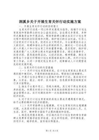 洞溪乡关于开展生育关怀行动方案 