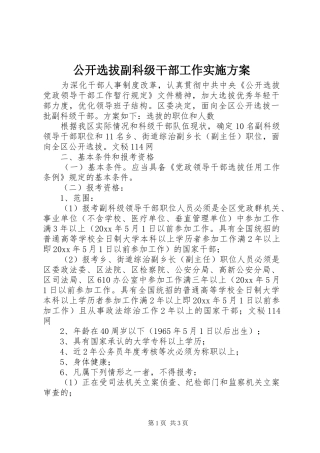 公开选拔副科级干部工作方案 