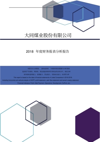 大同煤业股份有限公司2018年度财务报表分析报告