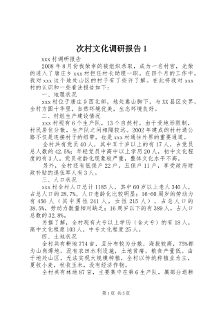 次村文化调研报告1 