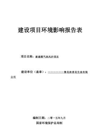 鲁花热风炉环境影响评价报告表