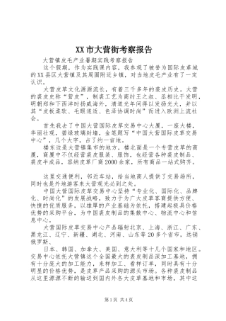 XX市大营街考察报告 