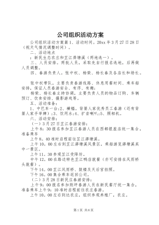 公司组织活动实施方案 