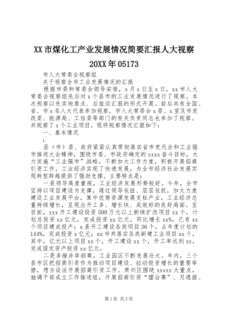 XX市煤化工产业发展情况简要汇报人大视察20XX年05173 (3)