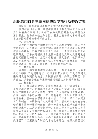 组织部门自身建设问题整改专项行动整改实施方案 