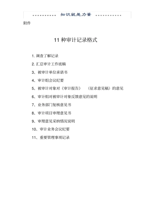 政府审计11种审计记录格式