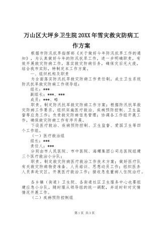万山区大坪乡卫生院20XX年雪灾救灾防病工作实施方案 (4)