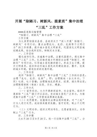 开展“除陋习、树新风、提素质”集中治理“三乱”工作实施方案 
