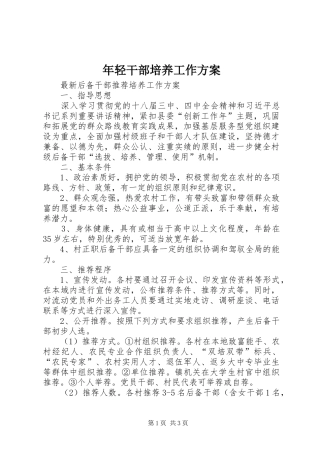 年轻干部培养工作实施方案 
