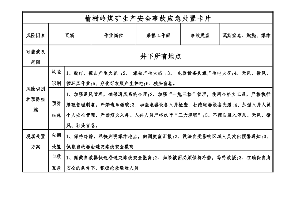 岗位应急处置卡(38页)_第3页
