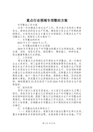 重点行业领域专项整治方案