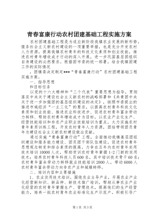 青春富康行动农村团建基础工程方案 