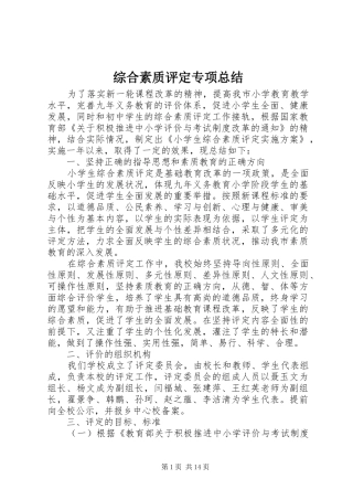 综合素质评定专项总结