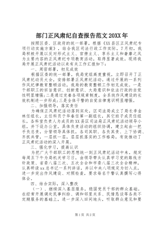 部门正风肃纪自查报告范文20XX年