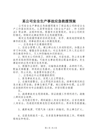 某公司安全生产事故应急救援预案 