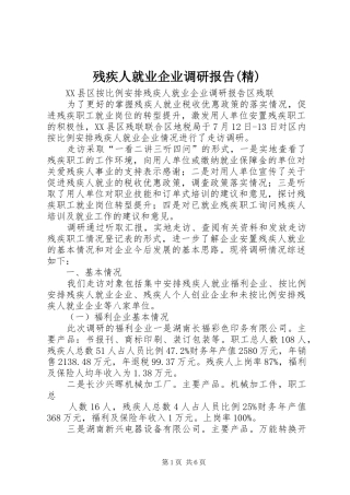 残疾人就业企业调研报告(精) 
