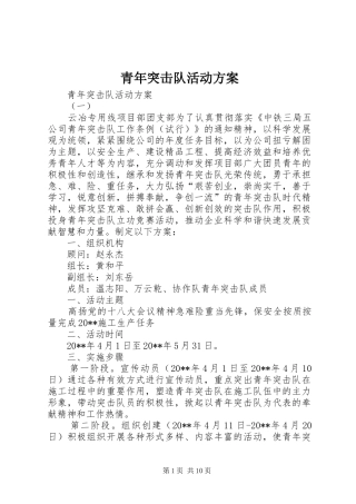 青年突击队活动实施方案 