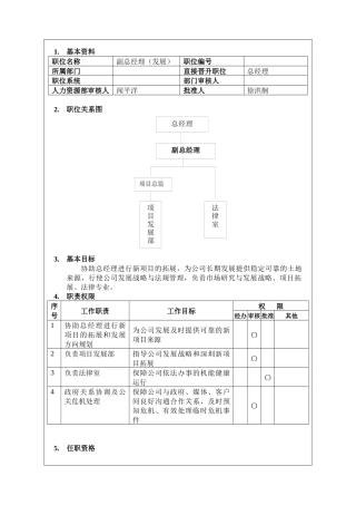 发展副总经理岗位说明