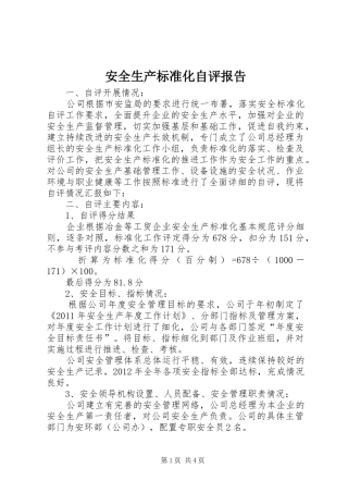 安全生产标准化自评报告 