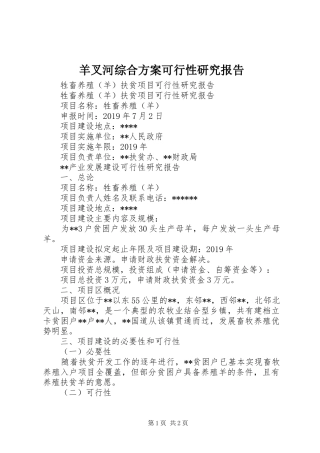 羊叉河综合实施方案可行性研究报告 