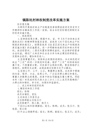 镇陈坑村林权制度改革方案 