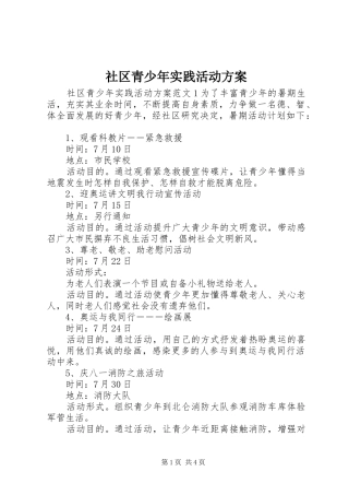 社区青少年实践活动实施方案 