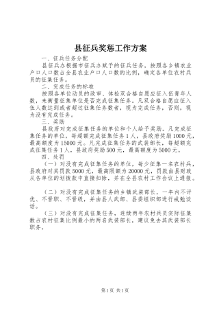 县征兵奖惩工作方案