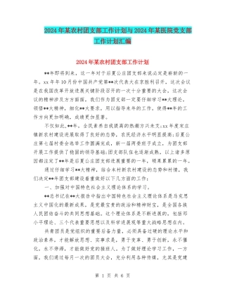 2024年某农村团支部工作计划与2024年某医院党支部工作计划汇编