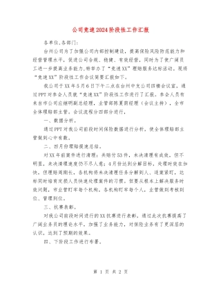 公司竞速2024阶段性工作汇报