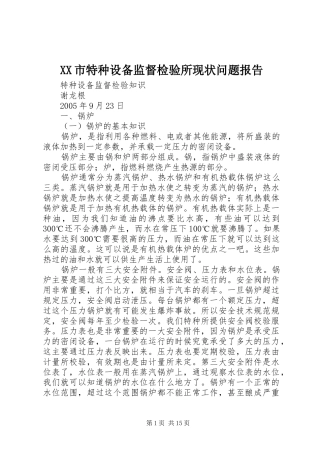 XX市特种设备监督检验所现状问题报告 