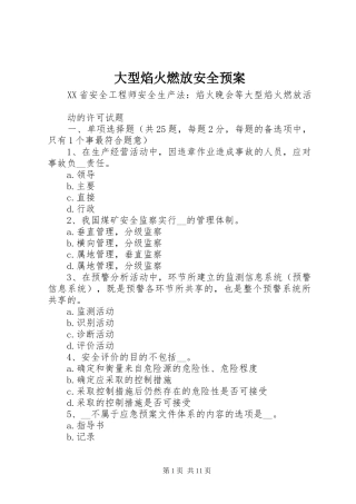 大型焰火燃放安全应急预案 