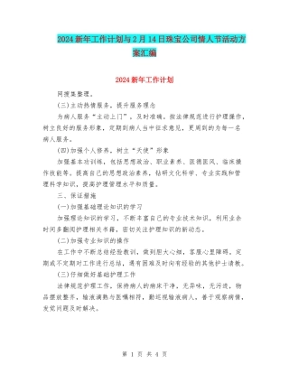 2024新年工作计划与2月14日珠宝公司情人节活动方案汇编