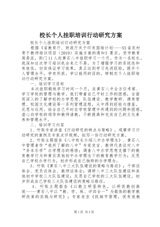 校长个人挂职培训行动研究实施方案 