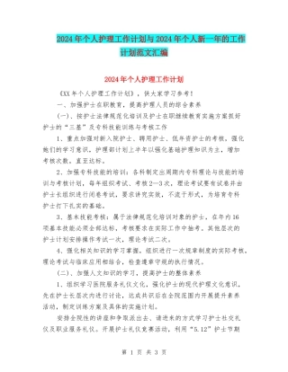 2024年个人护理工作计划与2024年个人新一年的工作计划范文汇编