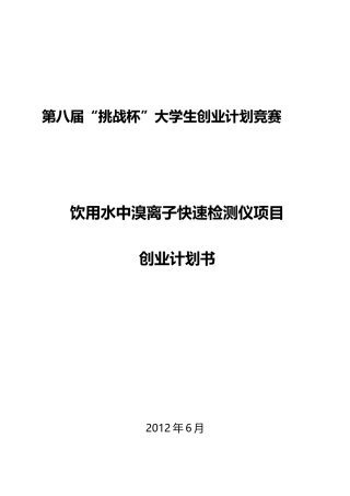 某创业团队计划书范文