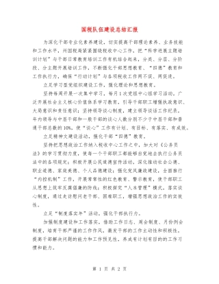 国税队伍建设总结汇报