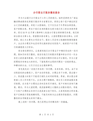 分行营业厅服务整改报告