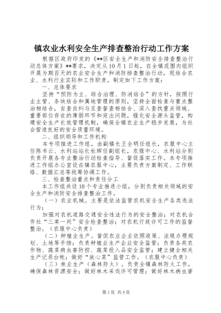 镇农业水利安全生产排查整治行动工作实施方案 