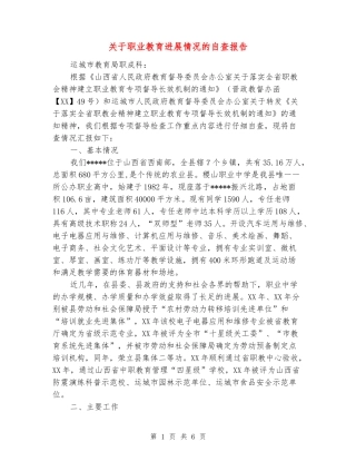 关于职业教育发展情况的自查报告