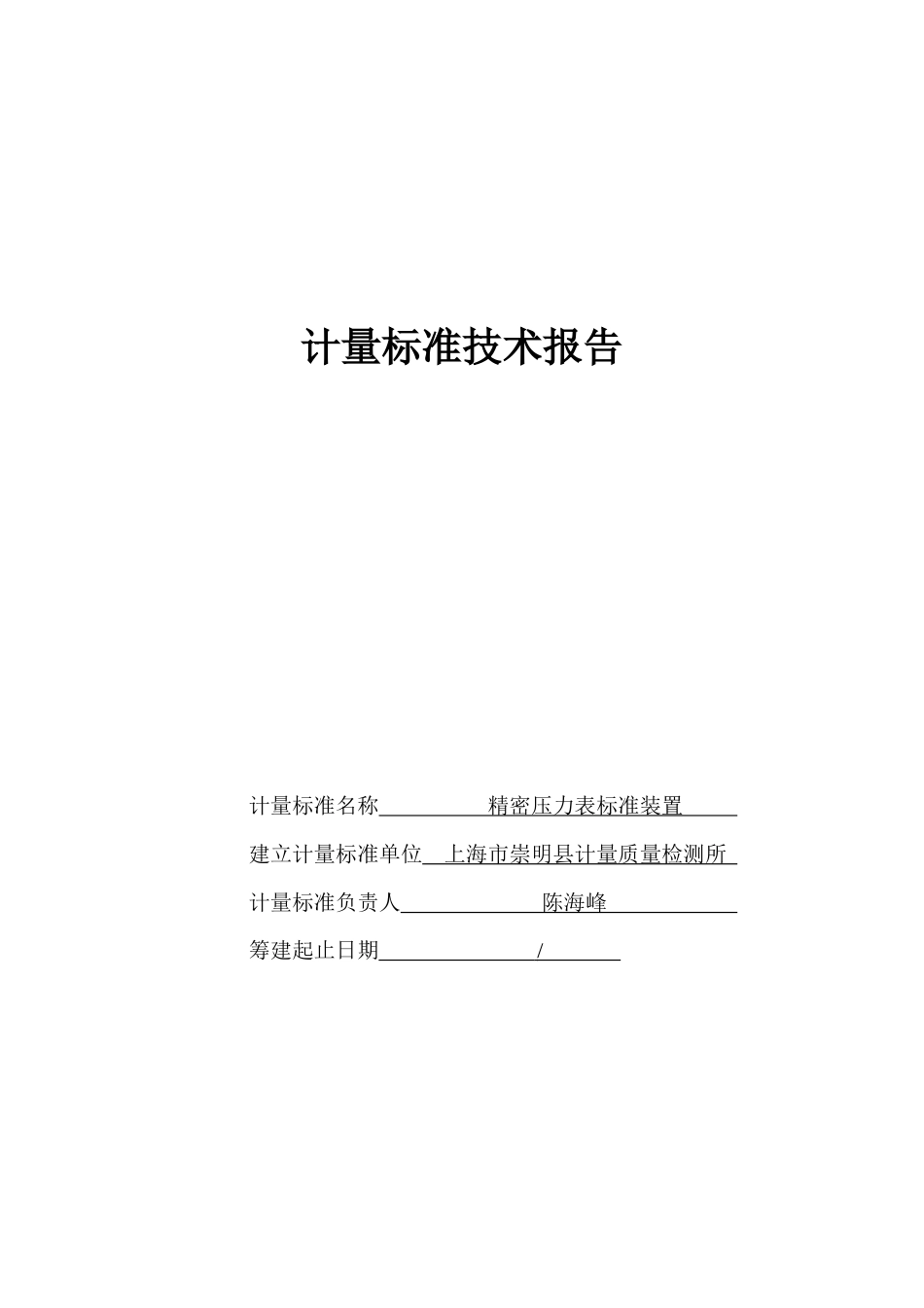 精密压力表技术报告_第1页